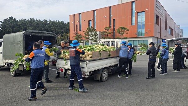 포항제철소 직원들이 트럭위에 실린 무를 내리고 있다.